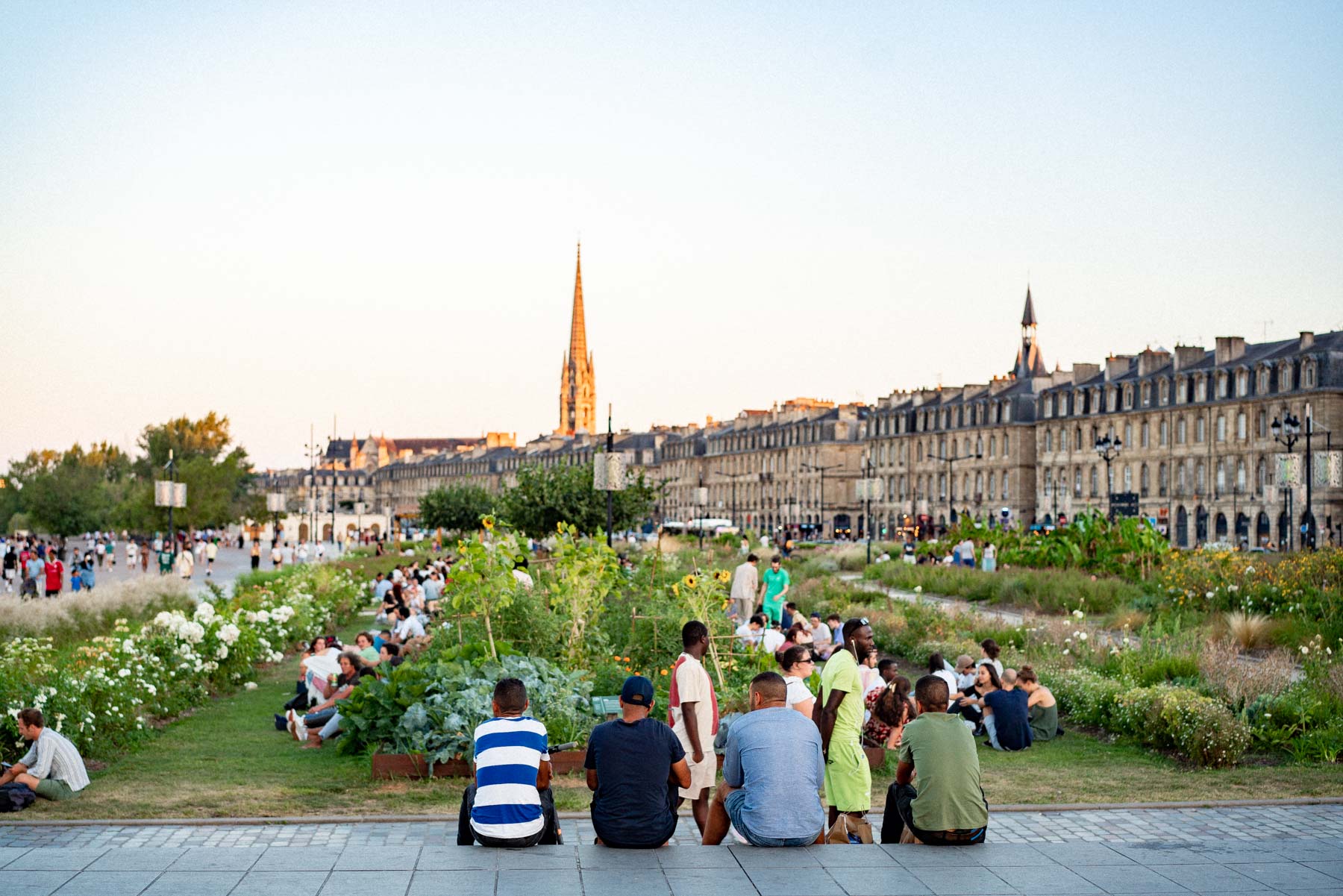 Bordeaux waterfront at sunset
