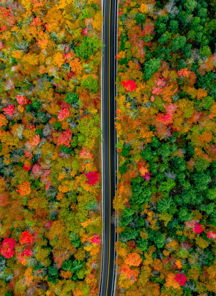 10 EPIC Spots to Experience Fall in New Hampshire (Spoiler Alert)