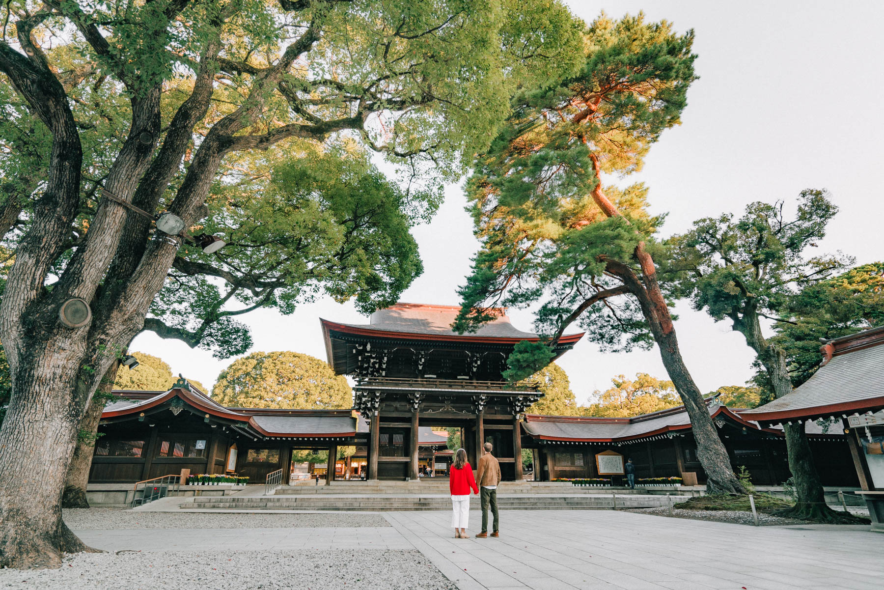 Best things to do Tokyo Japan