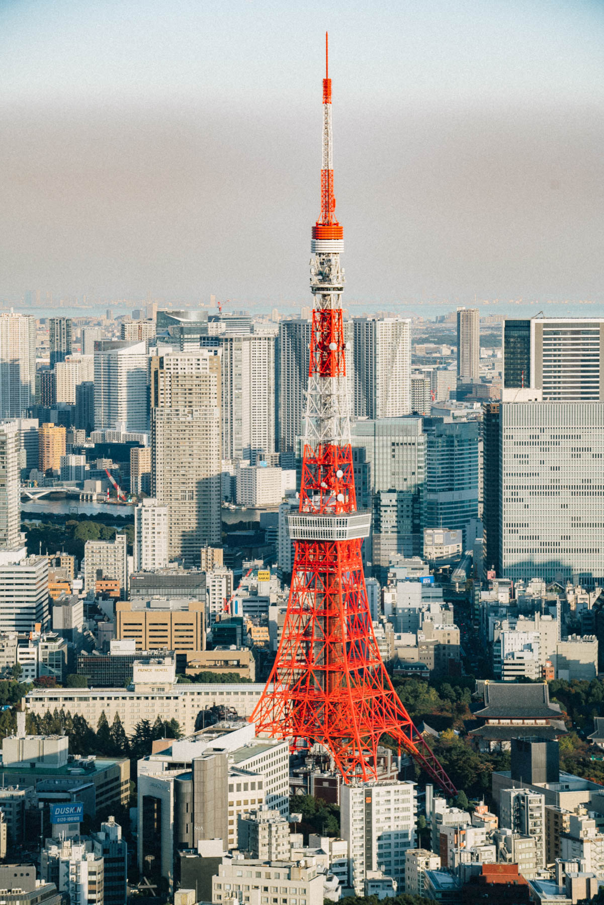 Best things to do Tokyo Japan