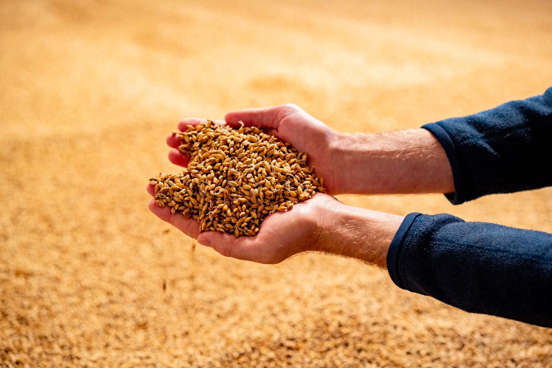 best whiskey tours Scotland