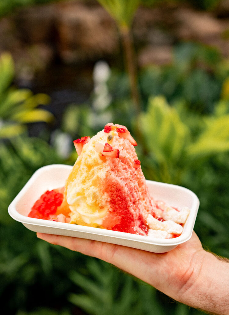 All the Best Spots to Get Shave Ice on Oahu (A Very Helpful Guide)