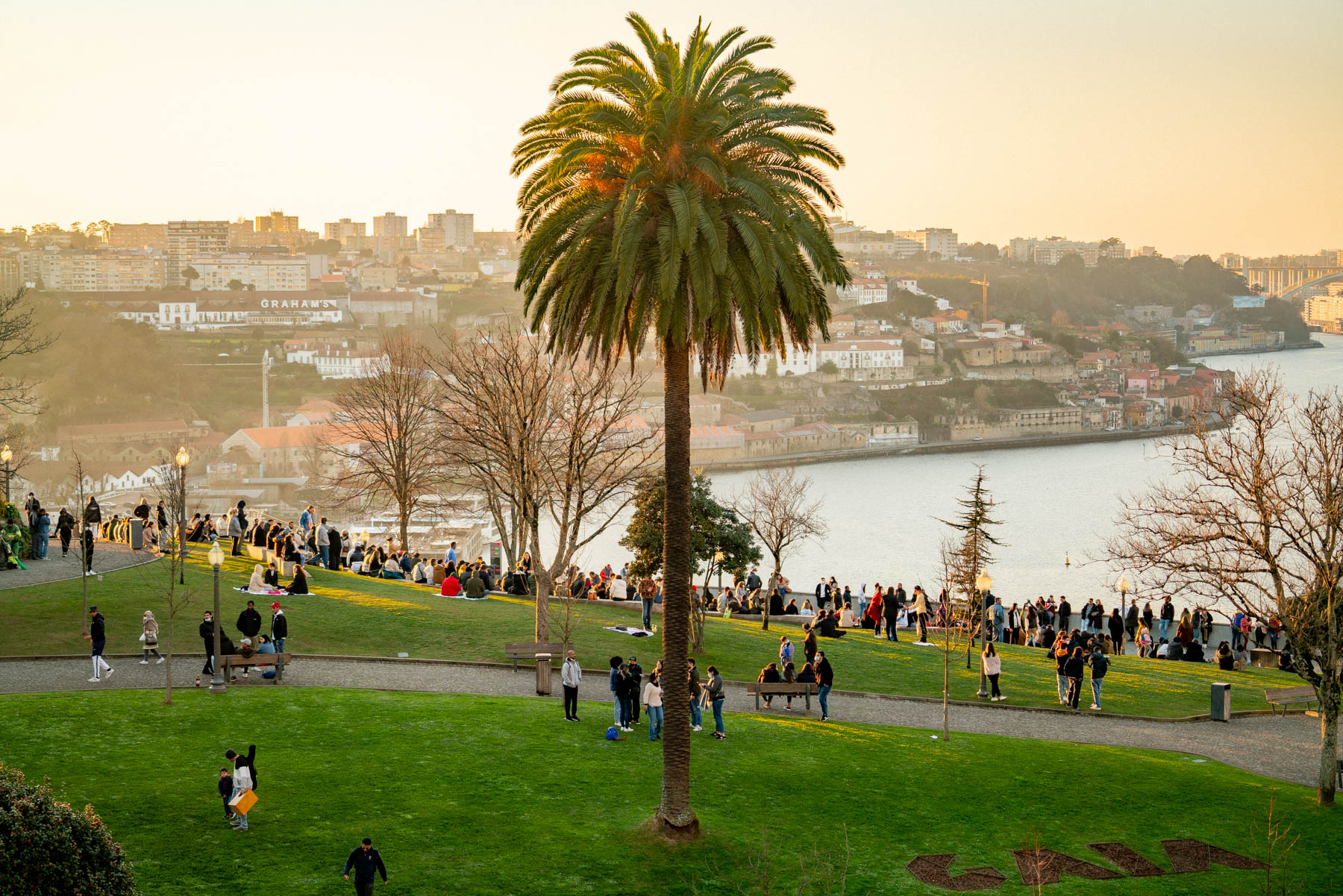 Porto From Jardim Do Morro 
Best things to do Porto
