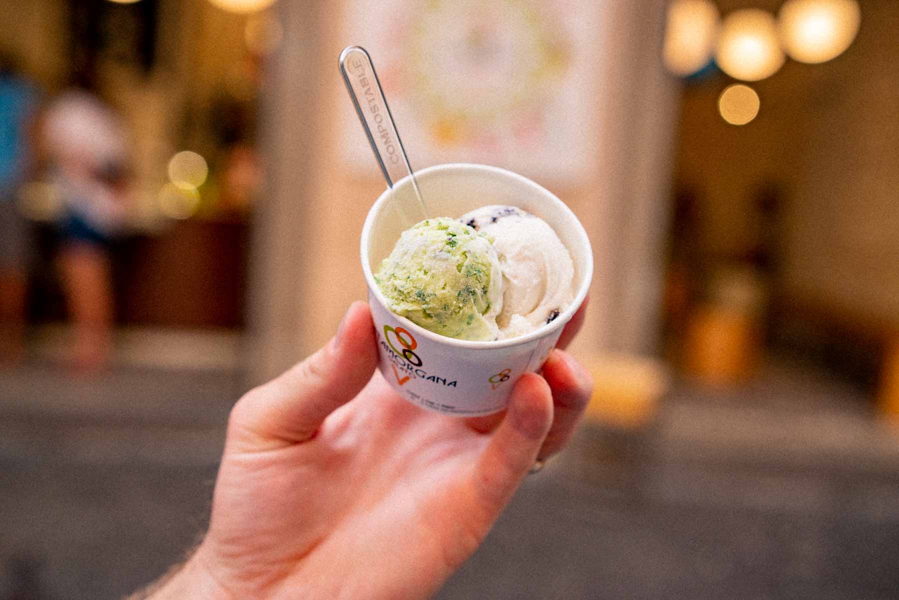 best gelato rome Italy